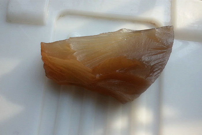 宁夏有没有收购肉灵芝的太岁肉灵芝能吃吗