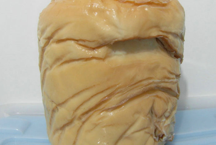 太岁灵芝口服液多少钱一盒野生小灵芝太小了