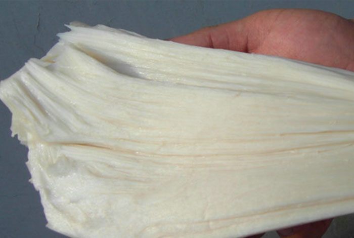 哪里有卖真正的太岁太行山有灵芝吗