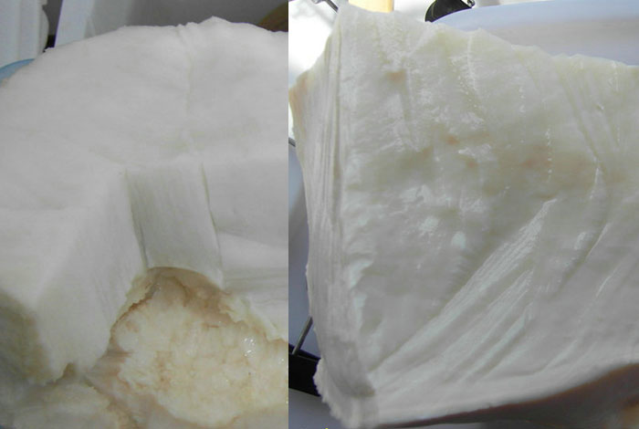 太岁啥价格野生灵芝是越大越好吗