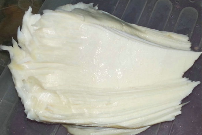 太岁多少钱一克太岁肉灵芝能治病吗