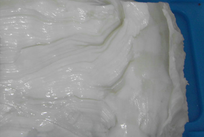 肉灵芝是什么东西野生灵芝小朵的好吗