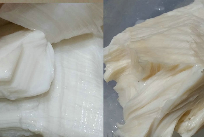 太岁肉灵芝泡的水几天能喝太岁肉灵芝怎么养