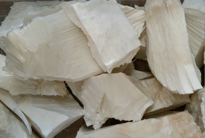 肉灵芝太岁钱一斤太岁肉灵芝作用