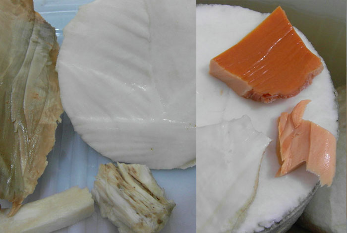 野生土太岁多少钱一斤广西灵芝好吗