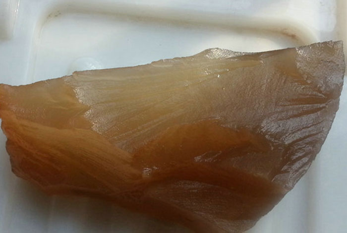 野生太岁的真实价格石太岁肉灵芝