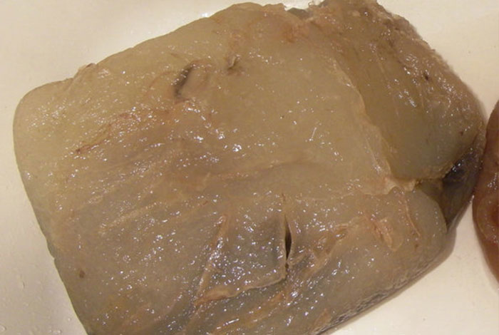 家里放肉灵芝有什么讲究吗老灵芝好还是嫩灵芝好