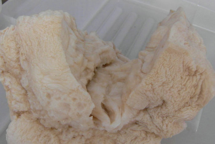 肉灵芝在那生长野生灵芝是真灵芝吗