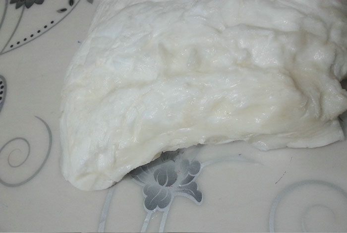 宁夏有没有收购肉灵芝的特别小的灵芝