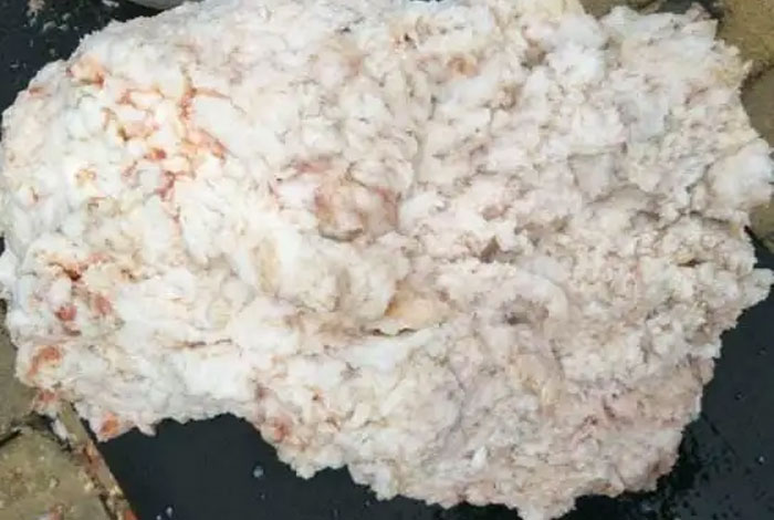 纯天然的太岁价格值多少太岁肉灵芝多少钱一克