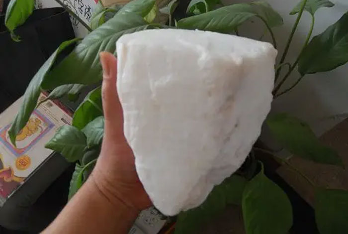 太岁水多少钱一瓶太岁肉灵芝是真的吗