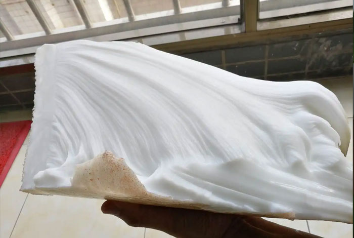 化太岁价格大个的野生灵芝