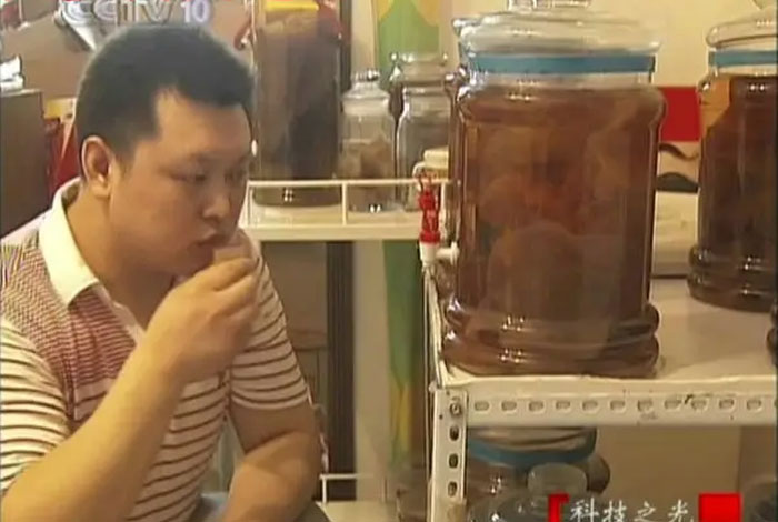 哪能买到太岁太岁肉灵芝水的功效和作用