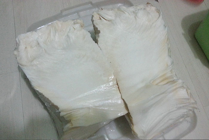 肉灵芝久食轻身不老太岁灵芝饮品的功效与作用