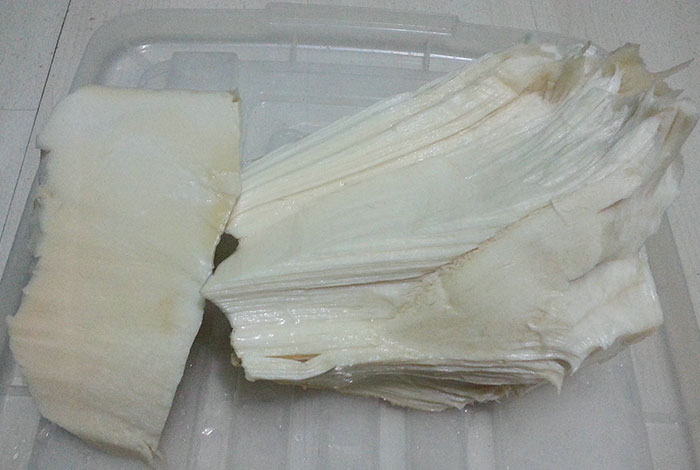 野生太岁多少钱一斤广西灵芝好吗