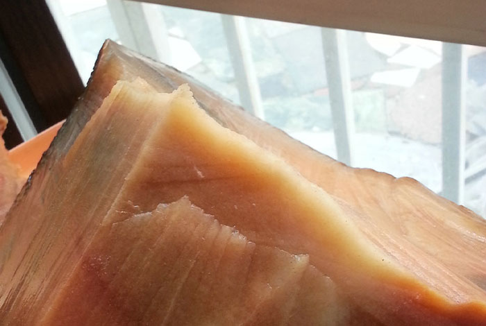 太岁1斤价格超大大灵芝