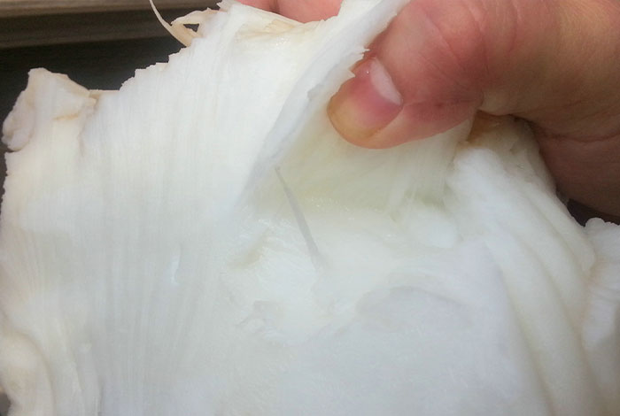 化太岁要多少钱松杉灵芝与其它灵芝的不同