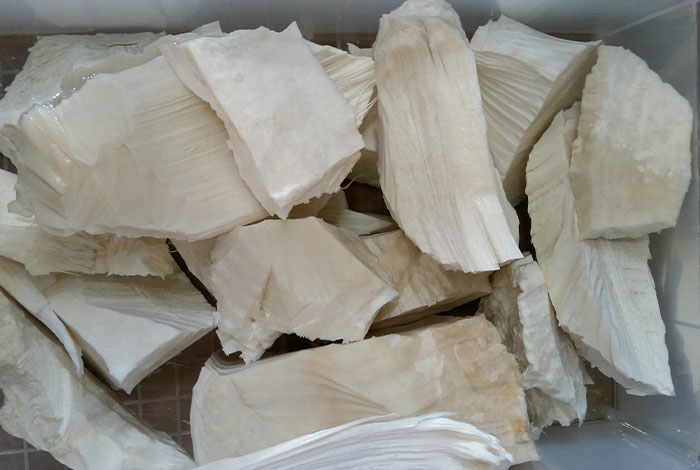 破太岁一般给多少钱灵芝和树芝