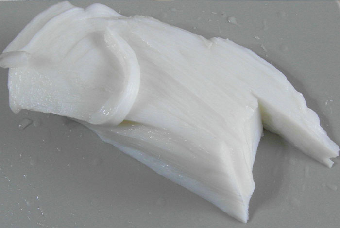 在哪能买到真太岁山东泰安灵芝