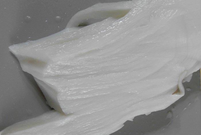 哪里能买到肉灵芝干灵芝有什么用处