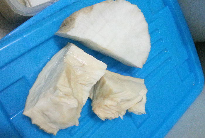 猪太岁什么是犯太岁太岁肉灵芝网站