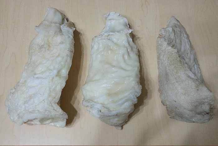 太岁在哪里有卖灵芝生长地