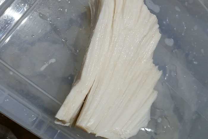 太岁肉灵芝功效有哪些八一野生灵芝