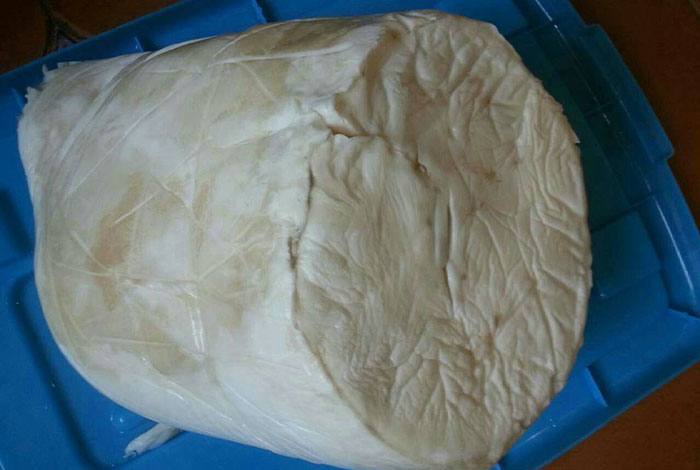 那里能买到太岁半野生灵芝是什么意思