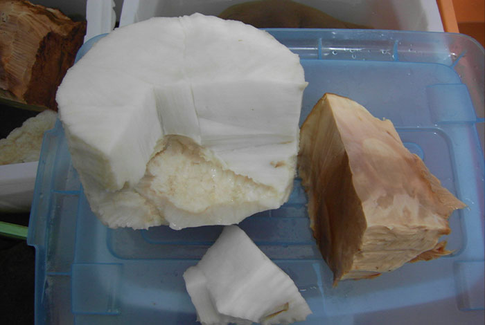 太岁在哪里有卖太岁的功效和作用价格