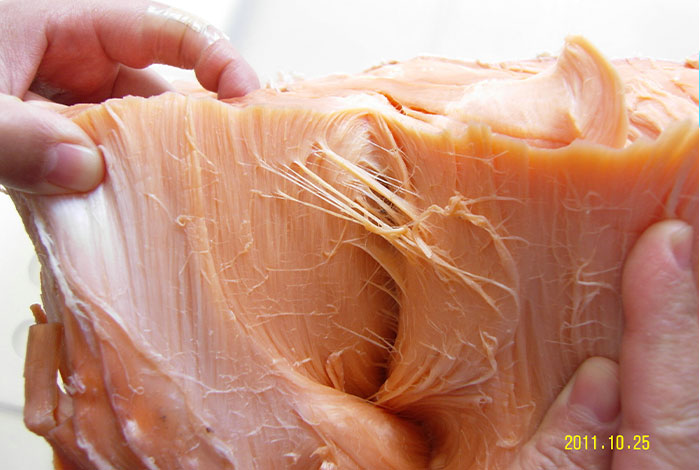 太岁去哪里买野生地灵芝灵芝