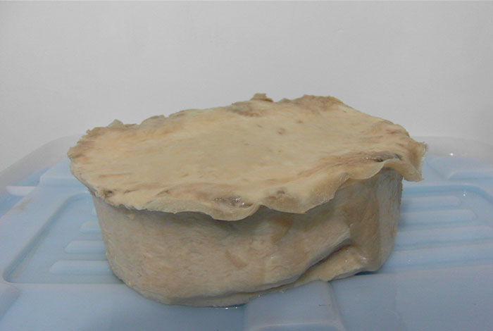 岁宝壹品 价格超大大灵芝