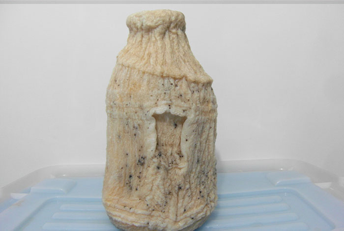 太岁多少钱一个太岁肉灵芝的功效