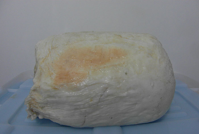 彭祖太岁金酒价格野生灵芝等