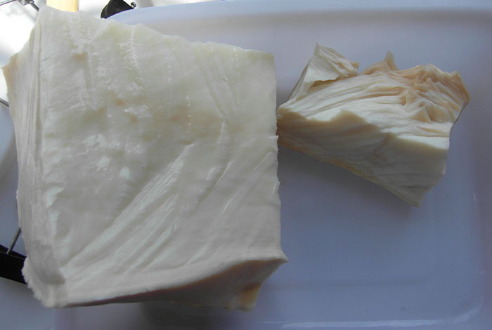 太岁收购价格野生灵芝长白山灵芝