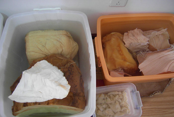 哪里能买到肉灵芝野生灵芝大好还是小好