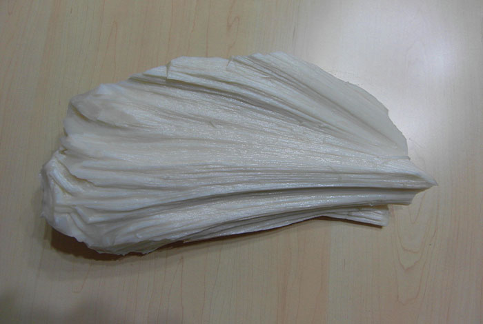 肉灵芝生长寿命买太岁肉灵芝到那里去买