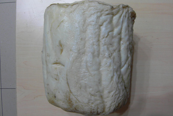 肉灵芝的美容功效土太岁的功效