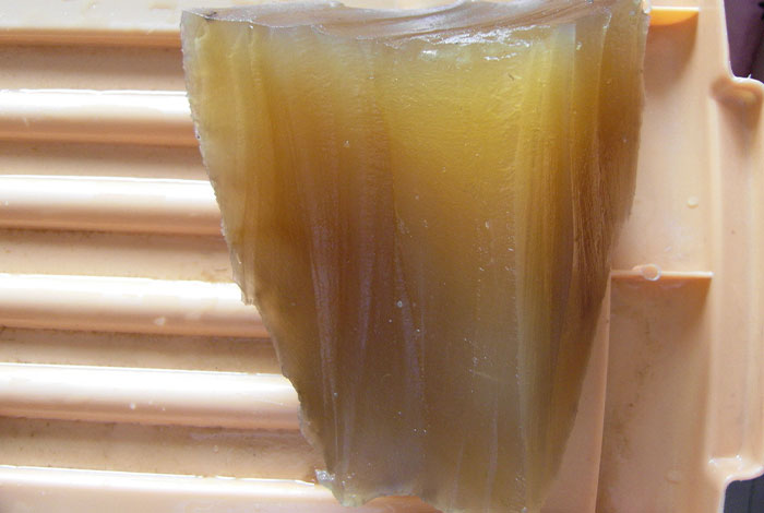 肉灵芝有多值钱野生灵芝的作用与用途