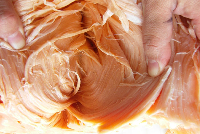 太岁生命肽多少钱太岁肉灵芝有什么作用