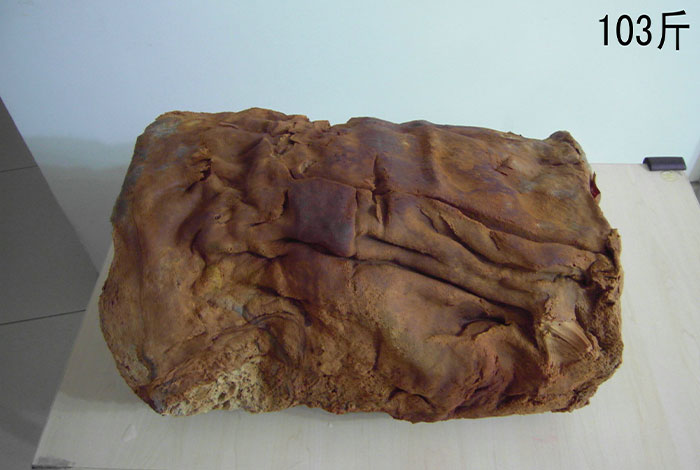 太岁卖多少钱一斤野生灵芝有哪些功效和作用