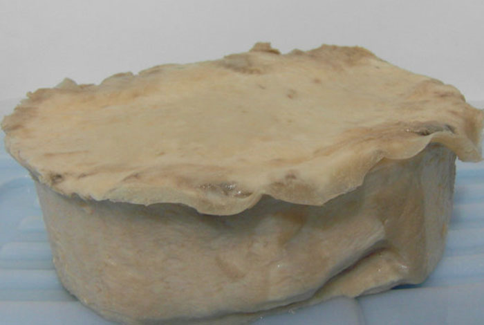 白云观化太岁费用一览表野生灵芝的功效与作用