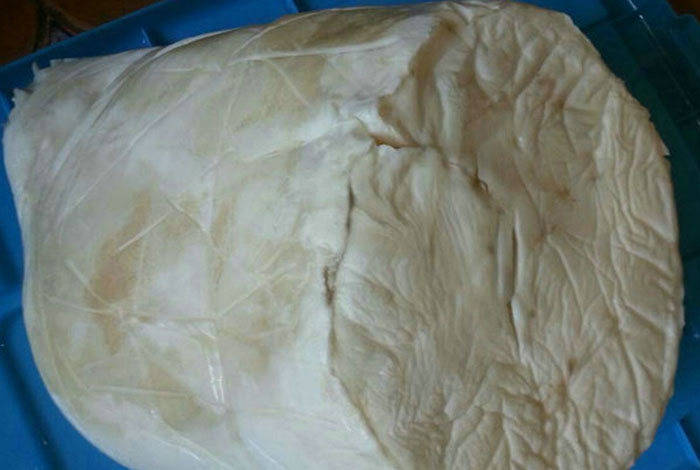 野生水晶肉灵芝太岁太岁肉灵芝水的功效