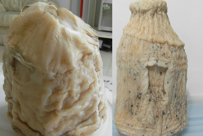 太岁价格多少钱一斤野生林芝灵芝好吗