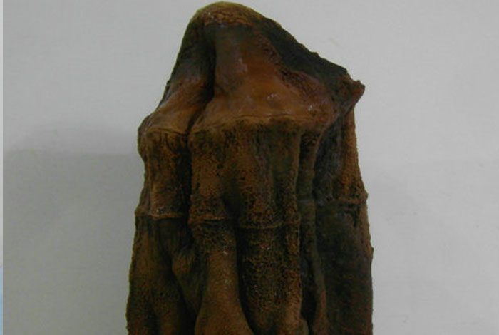 太岁肉灵芝抗癌效果野生灵芝和灵芝孢子粉哪个好