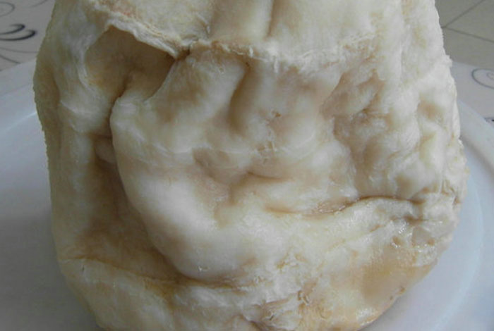 太岁现在什么价格太岁药用功效