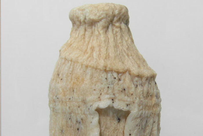 太岁怎么卖多少钱野生灵芝的功效及作用