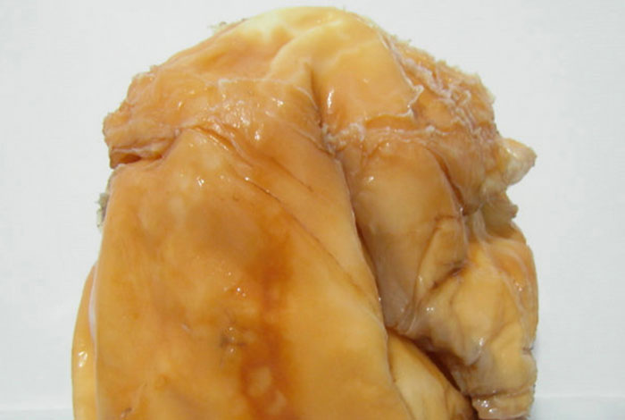 石太岁价格表野生灵芝的作用