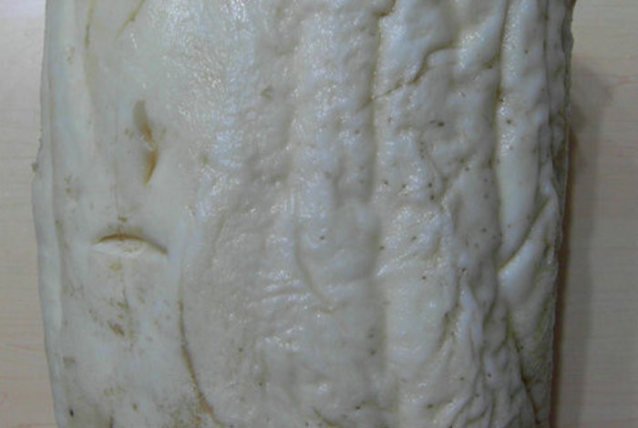 太岁石头多少钱青冈树长的灵芝值钱么