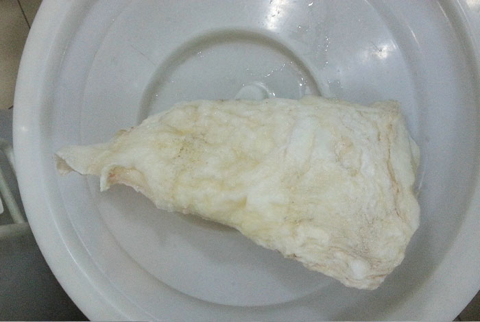 太岁肉灵芝贵吗经济实惠