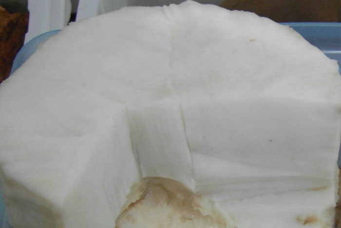 太力健肉灵芝什么作用24小时服务